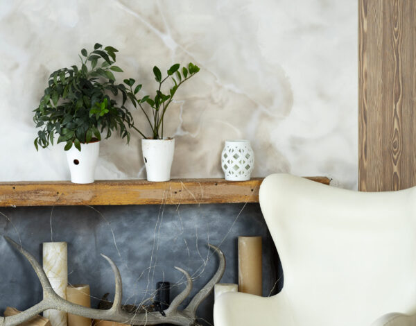 interior-room-design-with-armchair-potted-plants